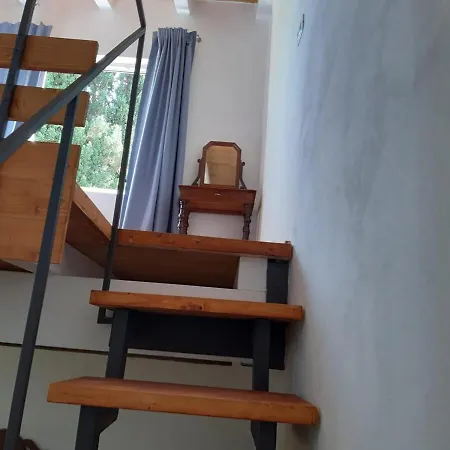Among The Olive Trees Of Apartman Tellaro