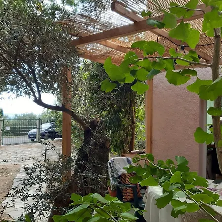 Among The Olive Trees Of Apartment *