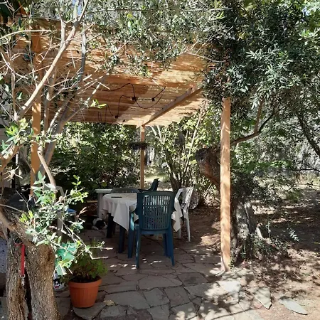 شقة Among The Olive Trees Of *