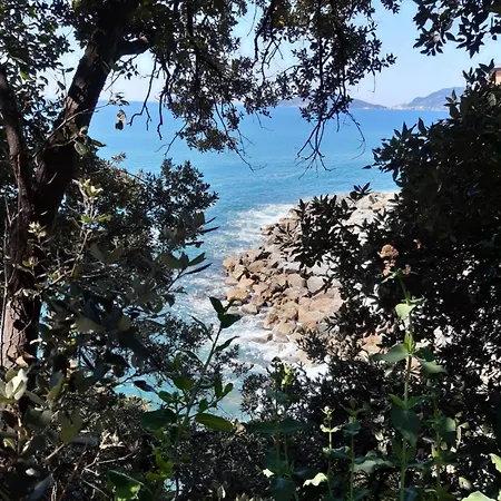 Among The Olive Trees Of Apartment