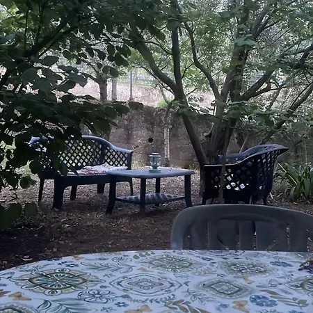 Among The Olive Trees Of Apartment Tellaro