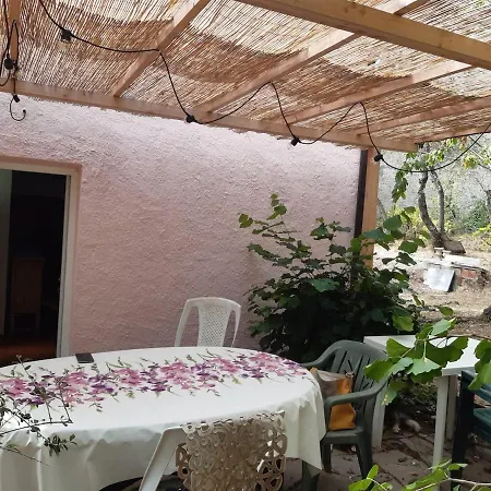 Apartment Among The Olive Trees Of Tellaro
