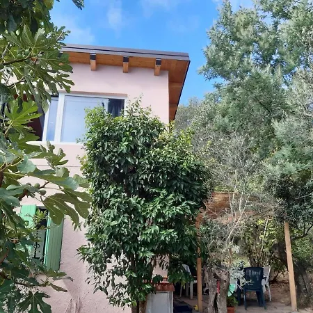 Apartment Among The Olive Trees Of *