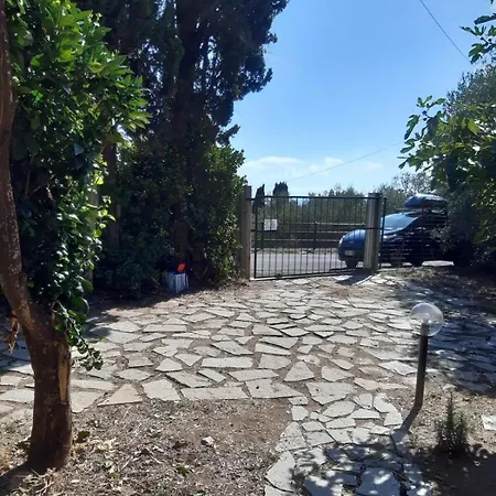 Among The Olive Trees Of דירה טלארו