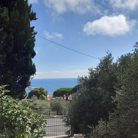 Among The Olive Trees Of * Tellaro